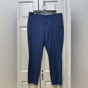 Express Stretch Slim Blue Dress Casual Pants Mens Size 33x28